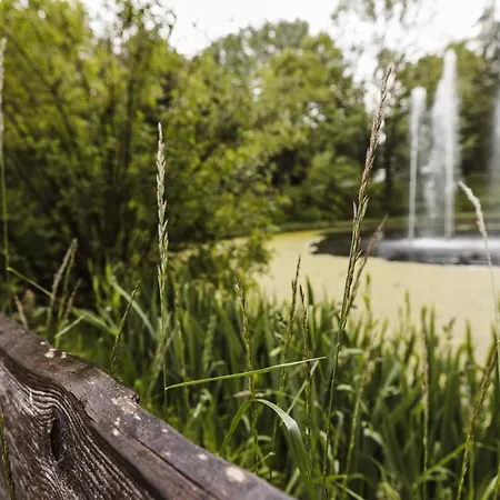 Terrassenhaus Im Harz, Pool, Sauna, Wlan Apartmán