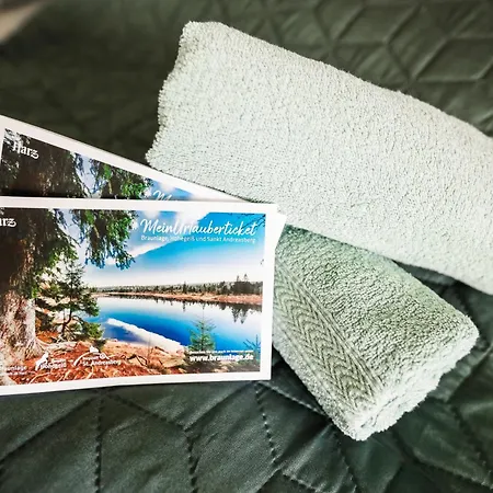 Terrassenhaus Im Harz, Pool, Sauna, Wlan * בראונלאגה