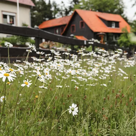Terrassenhaus Im Harz, Pool, Sauna, Wlan דירה *