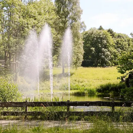 Terrassenhaus Im Harz, Pool, Sauna, Wlan 아파트 브라운라제