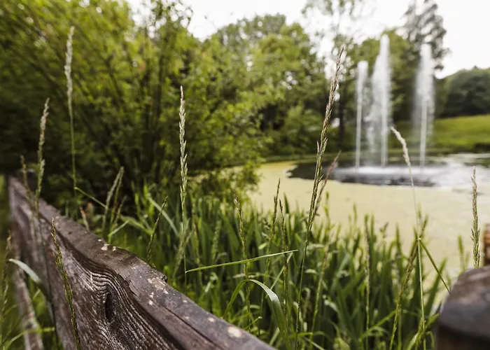 Terrassenhaus Im Harz, Pool, Sauna, Wlan Daire