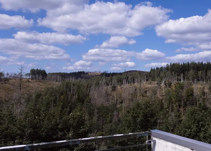 Terrassenhaus Im Harz, Pool, Sauna, Wlan Daire